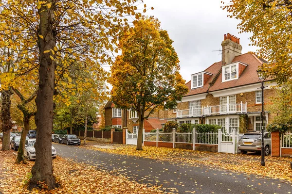 Chiswick Suburb Street Herbst London England — Stockfoto