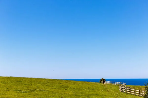 Isla Wight Verano Inglaterra Reino Unido — Foto de Stock