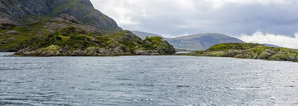Гарні Тюлені Острові Скай Шотландія — стокове фото