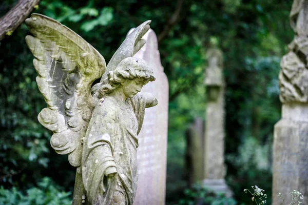 Cemetría Nunhead Primavera — Foto de Stock