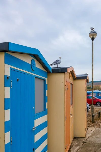 Strandstugor Seaford Storbritannien — Stockfoto