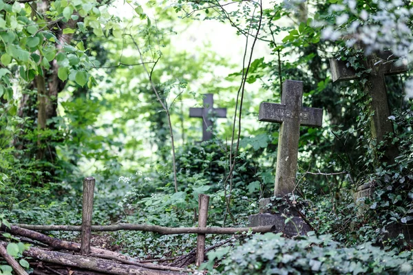 Nunhead Cemetry Spring — Stock Photo, Image