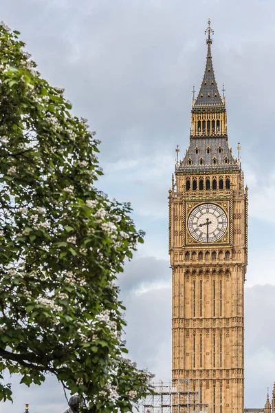 Grande Vue Sur Big Ben Tour Elizabeth Dans Soirée — Photo