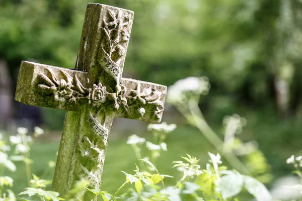 Nunhead Kyrkogård Våren — Stockfoto