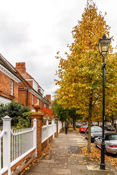 Sonbaharda Chiswick Banliyö Sokağı Londra Ngiltere — Stok fotoğraf