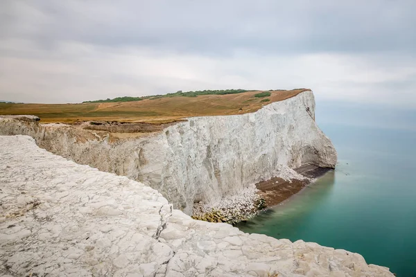 View Chalk Cliffs Seaford South Downs — Stock Photo, Image