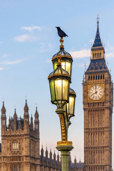 Raven Lampost Houses Parliament Early Winter Morning London — Stock fotografie