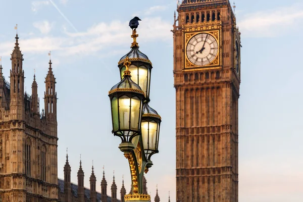 Raven Lampost Casas Parlamento Início Manhã Inverno Londres — Fotografia de Stock