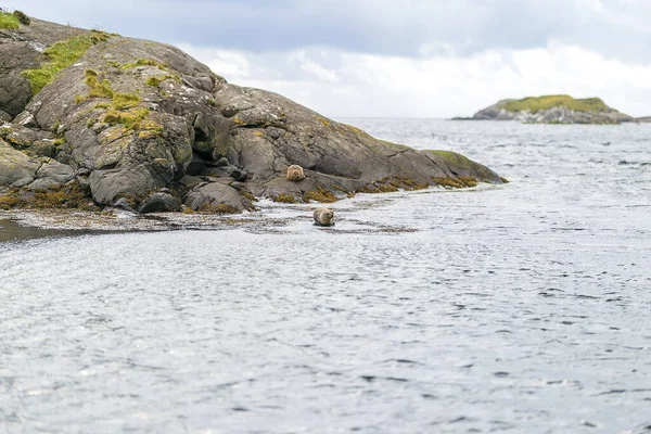 Hermosas Vistas Los Sellos Isla Skye Escocia Reino Unido — Foto de Stock