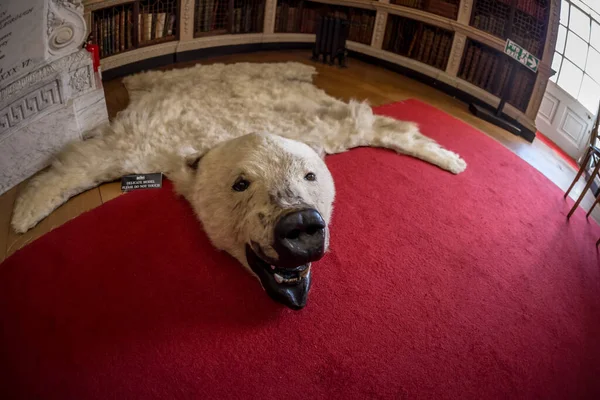 Sarayın derisini yüzün