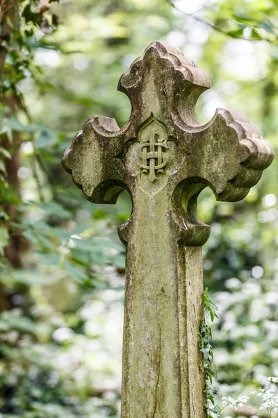 Nunhead Cemetry Spring — Stock fotografie