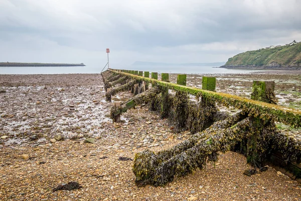 Côte Pemrokeshire Fishguard Pays Galles — Photo