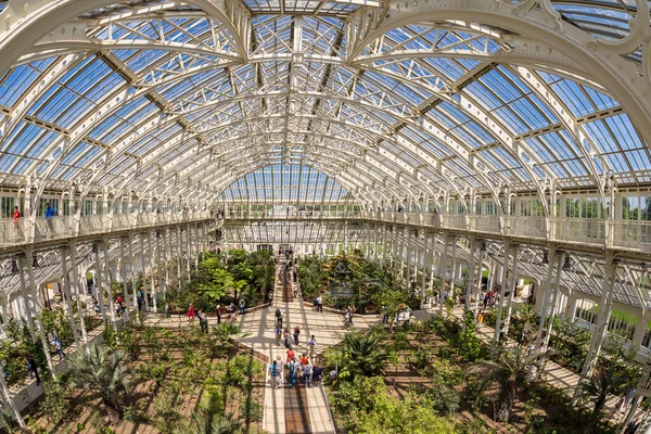 Temperate House Kew Gardens London — Stock Photo, Image