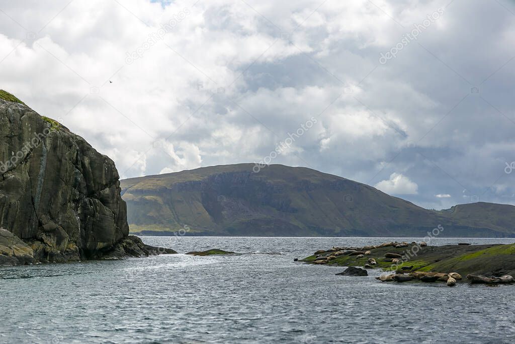 Beautiful view seals of Isle of Skye, Scotland, UK