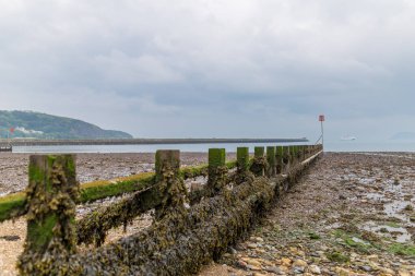 Fishguard, Galler 'de Pemrokeshire Sahili