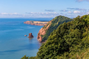 Jurassic sahil kıyısı (Devon), İngiltere 'de seyahat