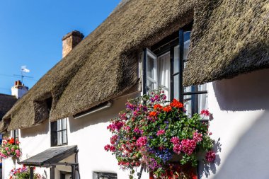 Jurassic sahil kıyısı (Devon), İngiltere 'de seyahat