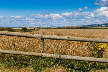 Yazın Wight Adası, İngiltere, İngiltere