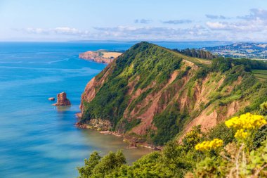 Jurassic sahil kıyısı (Devon), İngiltere 'de seyahat