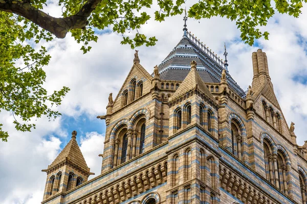 Museo Storia Naturale Londra — Foto Stock