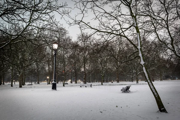 Snow Green Park Nocy Londyn Wielka Brytania — Zdjęcie stockowe