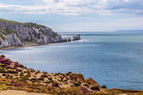 Isle Wight Létě Anglie Velká Británie — Stock fotografie