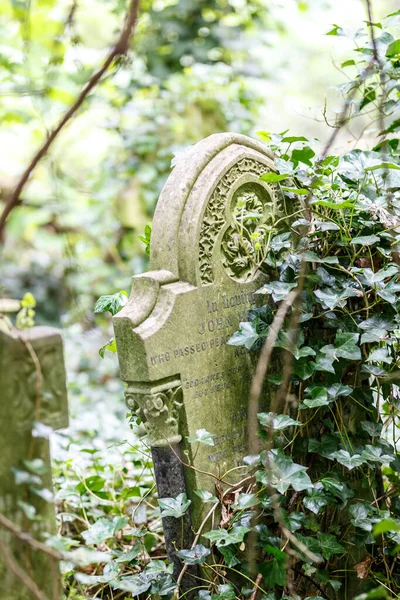 Nunhead Cemetry Spring — Stock Photo, Image