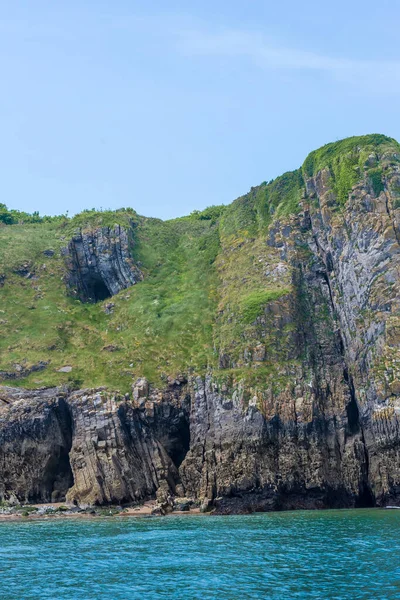 Havsfåglar Koloni Caldey Wales — Stockfoto