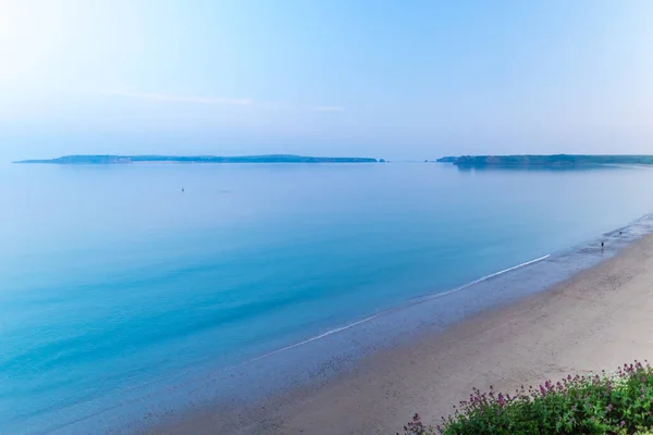 Blommor Vid Muren Tenby — Stockfoto