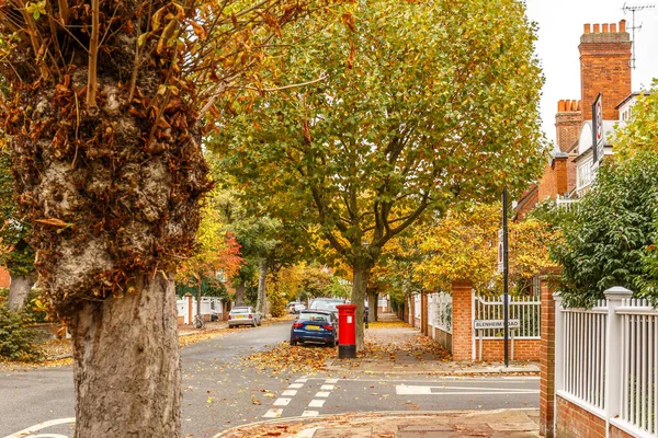 Chiswick Προάστιο Δρόμο Φθινόπωρο Λονδίνο Αγγλία — Φωτογραφία Αρχείου