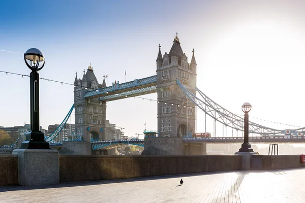Tower Bridge Sunny Morning — Stock fotografie