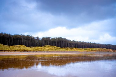 Ynys Llanddwyn 'in manzarası, Anglesey' in batı kıyısındaki gelgit adası, kuzeybatı Galler, İngiltere