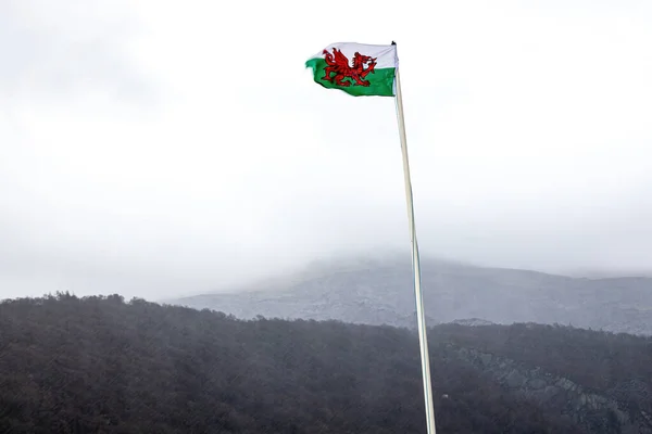 Welsh flag at the lake of Snowdonia at stormy weather, Wales, UK