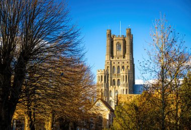 İngiltere 'nin Cambridgeshire kentindeki Ely Katedrali' nin günbatımı manzarası.