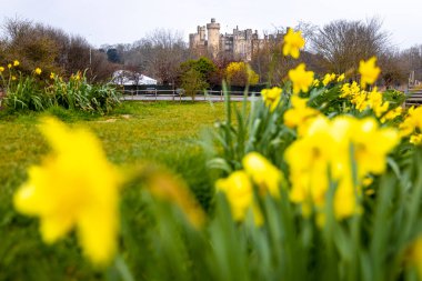 Arundel Kalesi 'nin manzarası, Arundel, West Sussex, İngiltere, İngiltere' de restore edilmiş ve yenilenmiş bir ortaçağ kalesi.