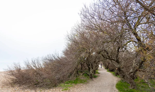 View Empty Seaside Wessex England — 图库照片