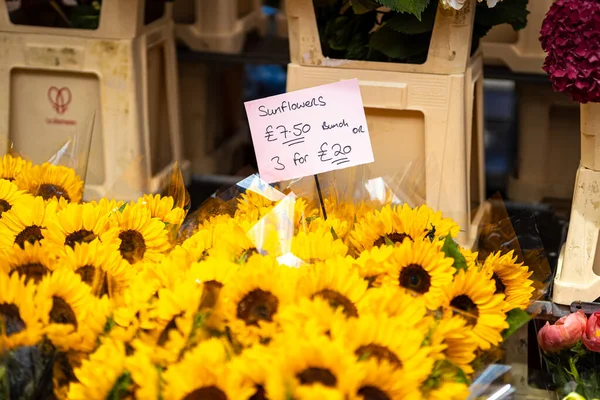 Flower Market West London Summer — Stock Photo, Image