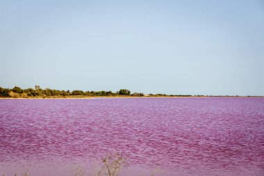 Güney Fransa 'nın Occitanie bölgesinde duvarlarla çevrili bir ortaçağ şehri olan Aigues-Mortes' in hava manzarası.