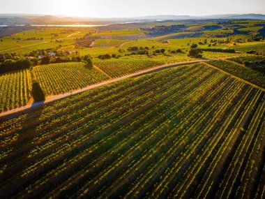 Fransa 'nın güneydoğusundaki Provence-Alpes-Cote d' Azur bölgesinde Vaucluse bölümünde bir komün olan Chateauneuf-du-Pape 'nin hava manzarası.