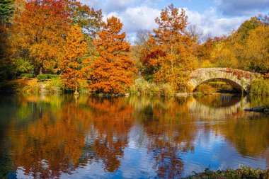 Altın sonbahar ağaçları, New York City 'de ördekler ve zarif bir taş kemer köprüsü bulunan sakin bir Central Park göletini çerçeveletti; seyahat, mevsimlik yaşam tarzı, doğa ve kentsel turizm kampanyaları için harika.