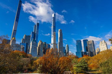 Central Park manzarası, New York 'ta açık mavi gökyüzü altında altın sonbahar ağaçları ve şehir kuleleri ile kaplıdır; seyahat, refah, emlak ve yaşam tarzı markalaşması için mükemmeldir.