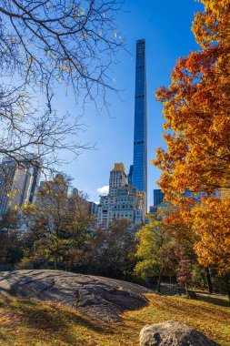 Central Park manzarası, New York 'ta açık mavi gökyüzü altında altın sonbahar ağaçları ve şehir kuleleri ile kaplıdır; seyahat, refah, emlak ve yaşam tarzı markalaşması için mükemmeldir.