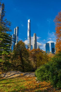 Central Park manzarası, New York 'ta açık mavi gökyüzü altında altın sonbahar ağaçları ve şehir kuleleri ile kaplıdır; seyahat, refah, emlak ve yaşam tarzı markalaşması için mükemmeldir.
