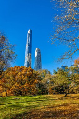 Central Park manzarası, New York 'ta açık mavi gökyüzü altında altın sonbahar ağaçları ve şehir kuleleri ile kaplıdır; seyahat, refah, emlak ve yaşam tarzı markalaşması için mükemmeldir.