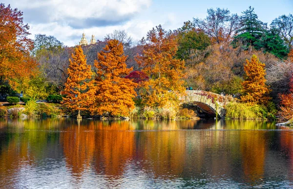 Altın sonbahar ağaçları, New York City 'de ördekler ve zarif bir taş kemer köprüsü bulunan sakin bir Central Park göletini çerçeveletti; seyahat, mevsimlik yaşam tarzı, doğa ve kentsel turizm kampanyaları için harika.