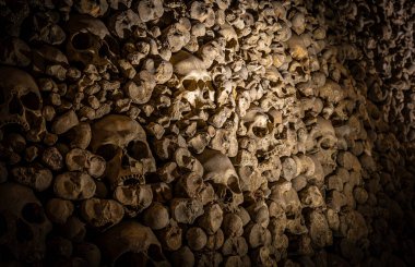 İnsan kafatasları ve kemiklerinin, loş bir yeraltı mezarlığında, korku, tarih, cadılar bayramı kampanyaları ve karanlık turizm reklamları için ideal bir dokuya sahip bir kemik duvarı oluşturması.