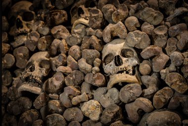 İnsan kafatası sıcacık bir duvara kurulmuş, yumuşak bulanık bir tonda, tarih ve ölümlülüğü çağrıştırıyor; korku, müze, seyahat ve Cadılar Bayramı pazarlaması için mükemmel.