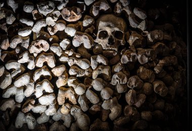 İnsan kafatası sıcacık bir duvara kurulmuş, yumuşak bulanık bir tonda, tarih ve ölümlülüğü çağrıştırıyor; korku, müze, seyahat ve Cadılar Bayramı pazarlaması için mükemmel.