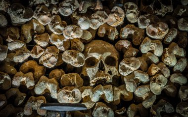 İnsan kafatası sıcacık bir duvara kurulmuş, yumuşak bulanık bir tonda, tarih ve ölümlülüğü çağrıştırıyor; korku, müze, seyahat ve Cadılar Bayramı pazarlaması için mükemmel.