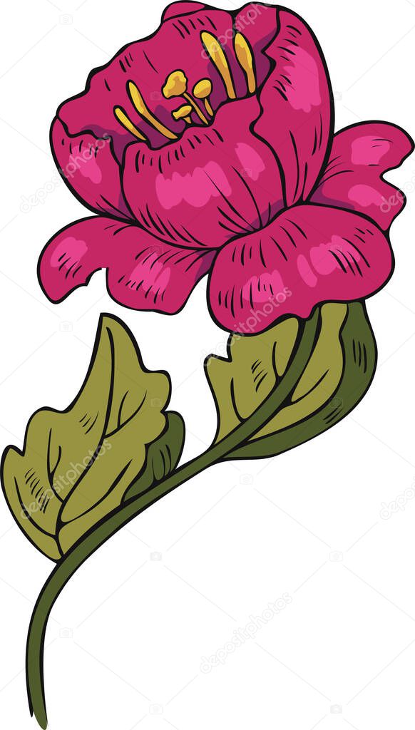 Vector illustration of an abstract blooming flower. Pink flower design.